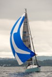 infinite jest gbr8849t whyw23 tue 800 4090
